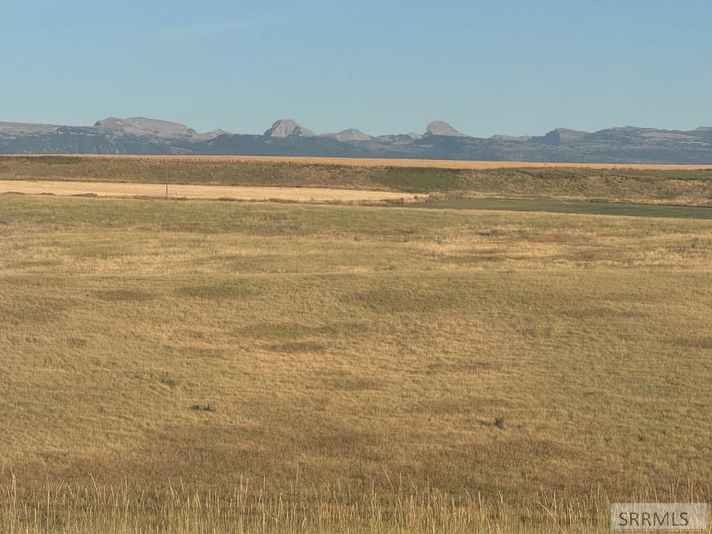 Image 5 of property listing at TBD Woodrush Road, Felt, ID 83422