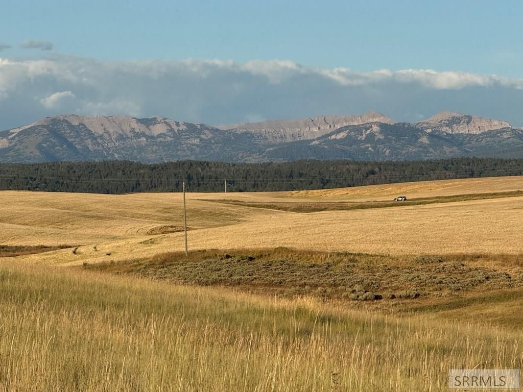 Image 7 of property listing at TBD Woodrush Road, Felt, ID 83422