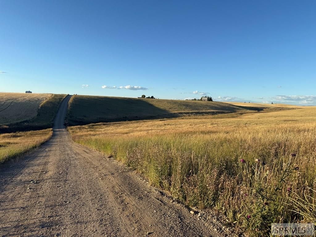 Image 8 of property listing at TBD Woodrush Road, Felt, ID 83422