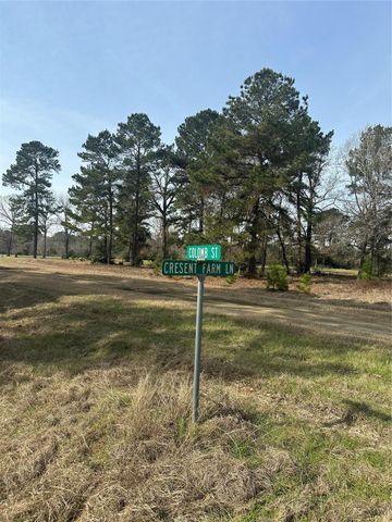 Lot 25 Colomb Street, Trinity, TX 75862