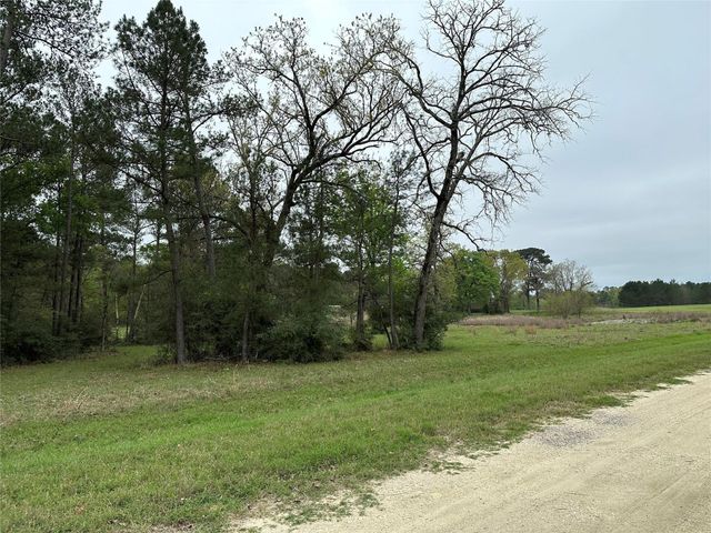 Lot 25 Colomb Street, Trinity, TX 75862