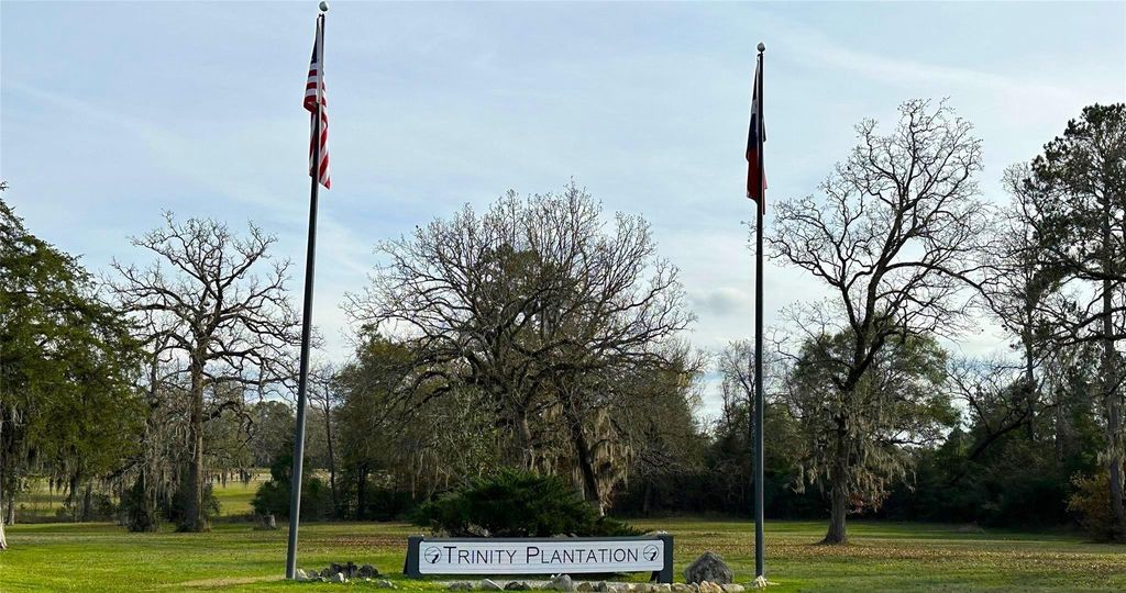 Lot 25 Colomb Street, Trinity, TX 75862