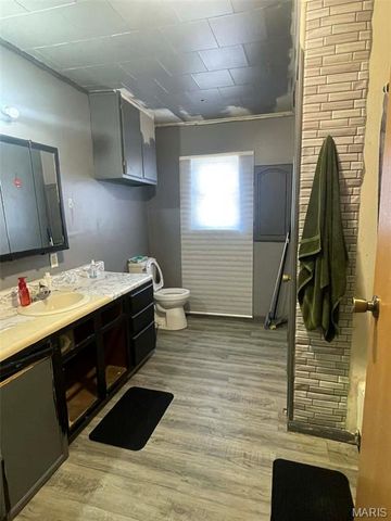 2209 Hope Street, Hannibal, MO 63401