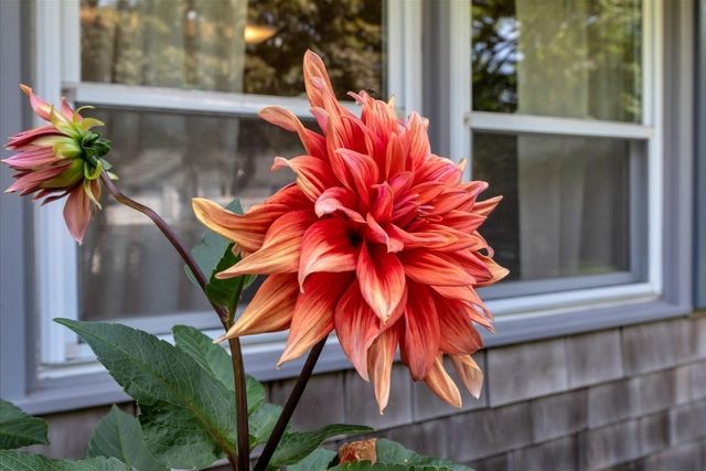 66 Sheaffer Rd, Barnstable, MA 02632