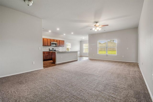 114 Courageous Side Way, Magnolia, TX 77354