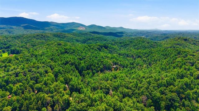 464 Whispering Pine Lane, Cherry Log, GA 30522