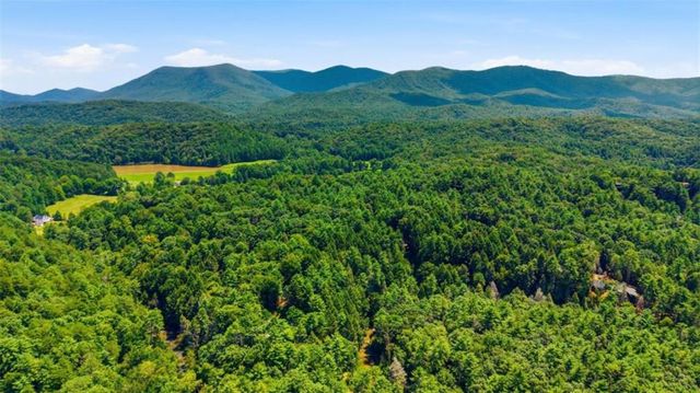 464 Whispering Pine Lane, Cherry Log, GA 30522