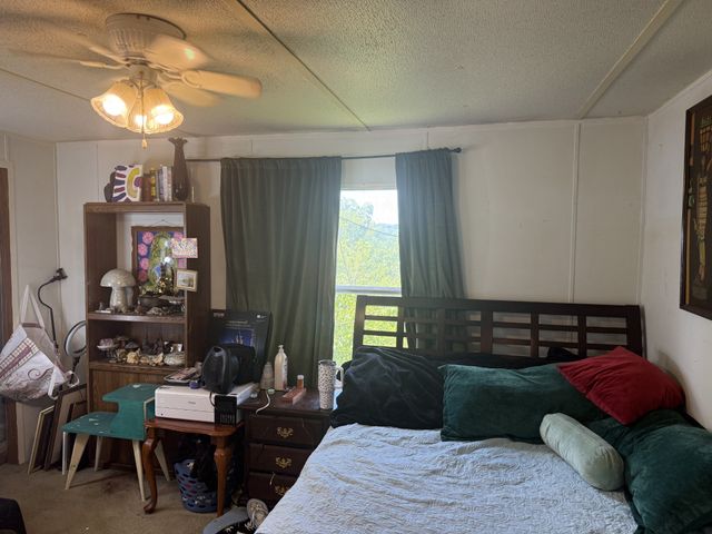 242 Lynch Ln, Gainesboro, TN 38562