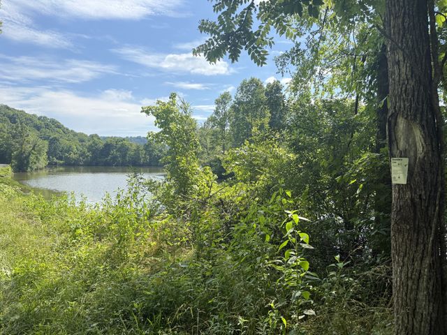 242 Lynch Ln, Gainesboro, TN 38562