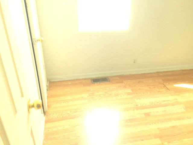 8518 S Givins Court, Chicago, IL 60620