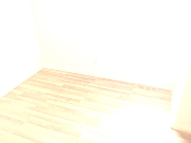 8518 S Givins Court, Chicago, IL 60620