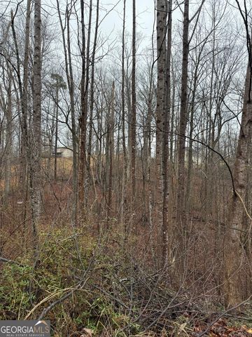 4638 Enfield Drive, Gainesville, GA 30506