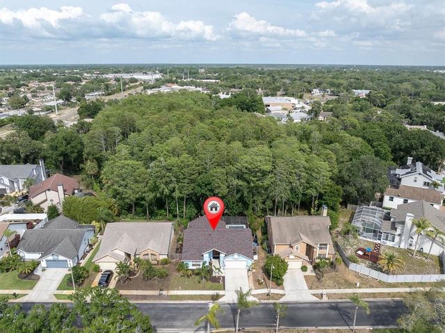 1938 WOOD THRUSH STREET, Tarpon Springs, FL 34689