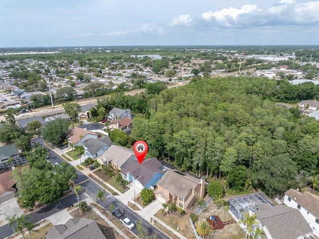 1938 WOOD THRUSH STREET, Tarpon Springs, FL 34689