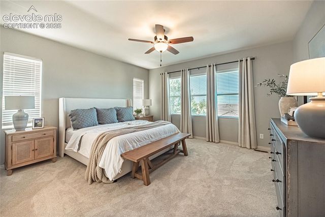 2613 Crooked Vine Court, Colorado Springs, CO 80921