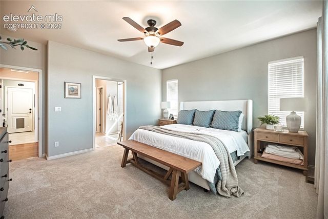 2613 Crooked Vine Court, Colorado Springs, CO 80921