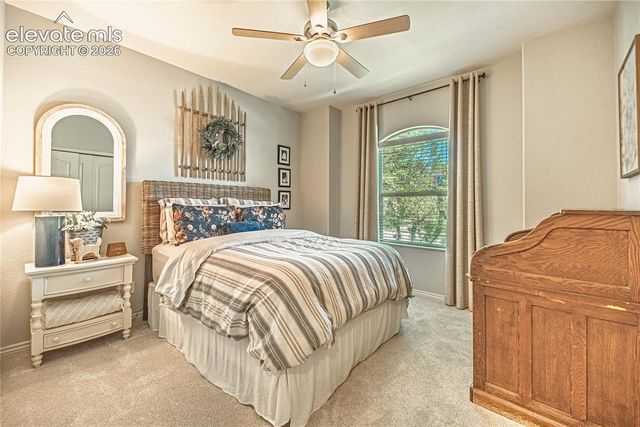 2613 Crooked Vine Court, Colorado Springs, CO 80921