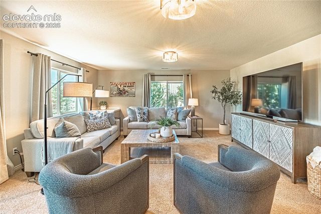 2613 Crooked Vine Court, Colorado Springs, CO 80921