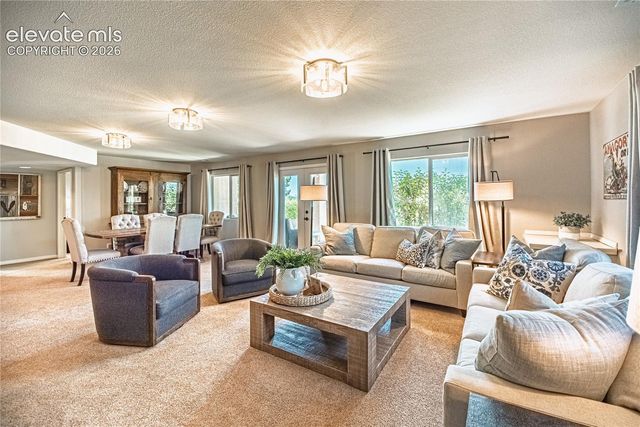 2613 Crooked Vine Court, Colorado Springs, CO 80921