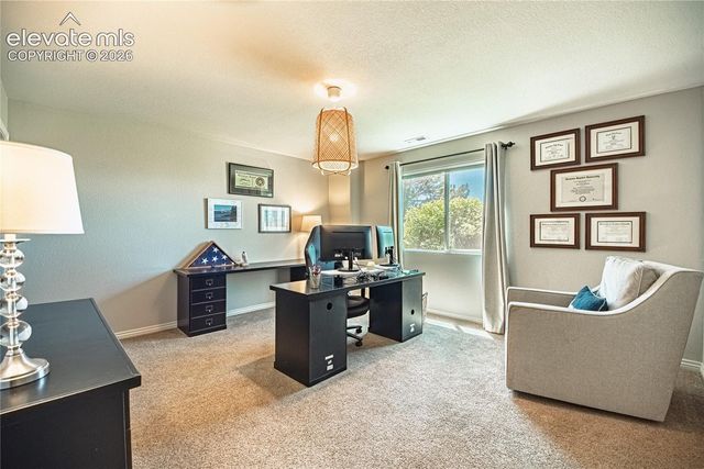 2613 Crooked Vine Court, Colorado Springs, CO 80921