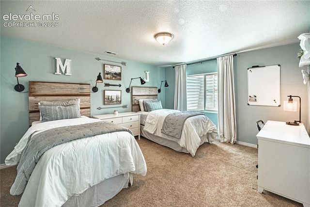 2613 Crooked Vine Court, Colorado Springs, CO 80921