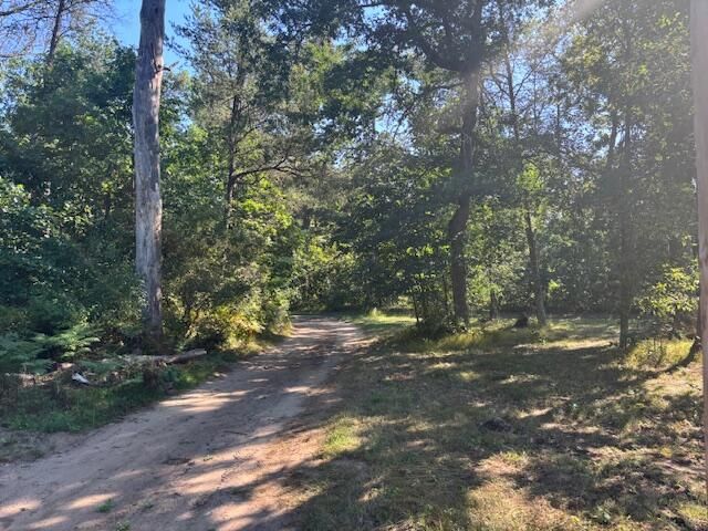 5083 S Sand Ridge Avenue, Idlewild, MI 49642