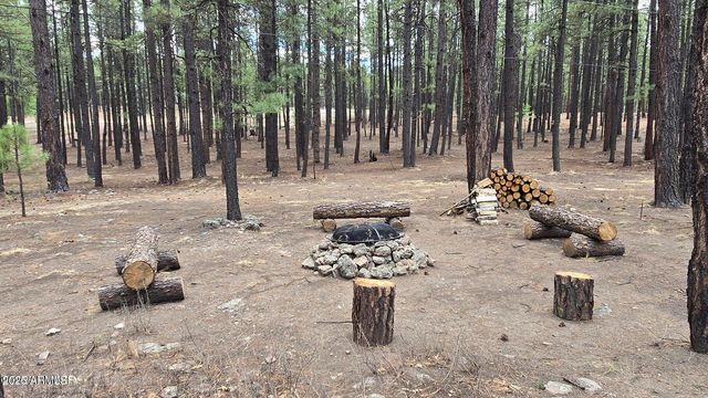 4 COUNTY ROAD 2089 --, Alpine, AZ 85920