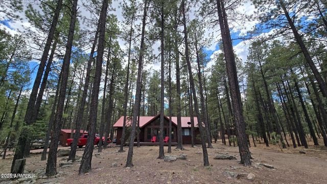 4 COUNTY ROAD 2089 --, Alpine, AZ 85920