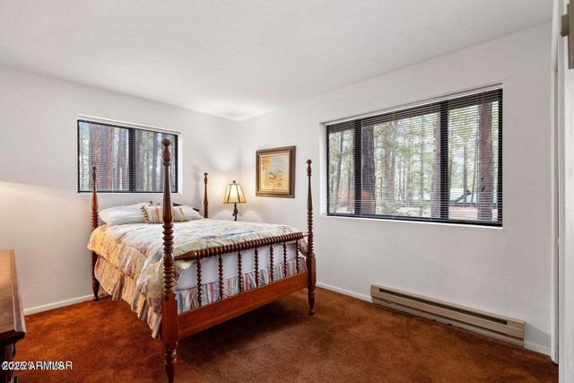 4 COUNTY ROAD 2089 --, Alpine, AZ 85920