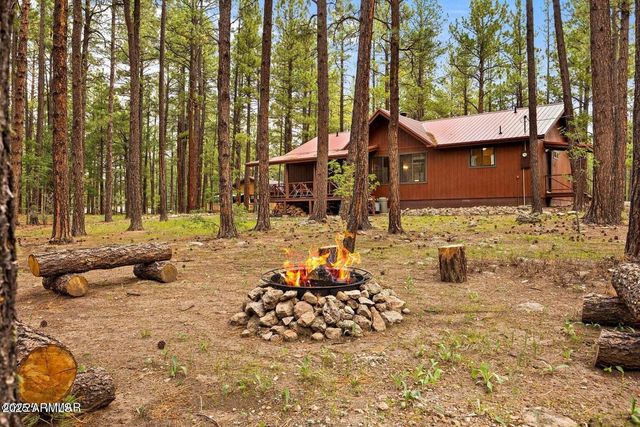 4 COUNTY ROAD 2089 --, Alpine, AZ 85920