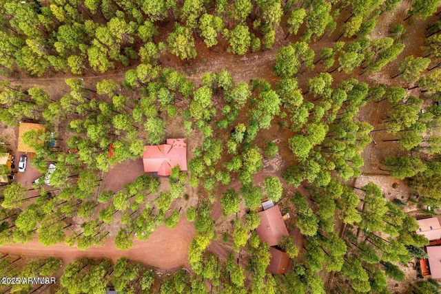 4 COUNTY ROAD 2089 --, Alpine, AZ 85920