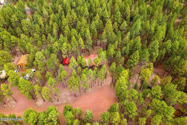 4 COUNTY ROAD 2089 --, Alpine, AZ 85920