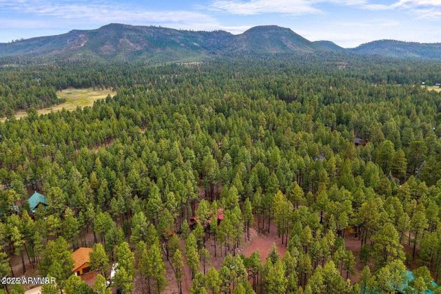 4 COUNTY ROAD 2089 --, Alpine, AZ 85920