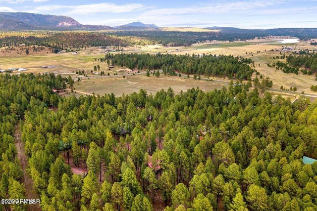 4 COUNTY ROAD 2089 --, Alpine, AZ 85920
