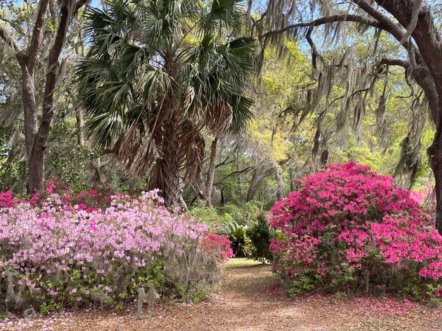 1513 Highway 174, Edisto Island, SC 29438