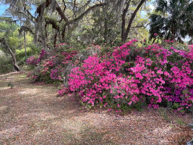 1513 Highway 174, Edisto Island, SC 29438