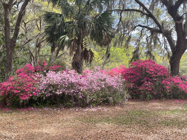 1513 Highway 174, Edisto Island, SC 29438