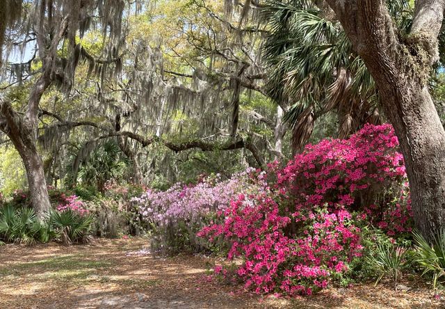 1513 Highway 174, Edisto Island, SC 29438