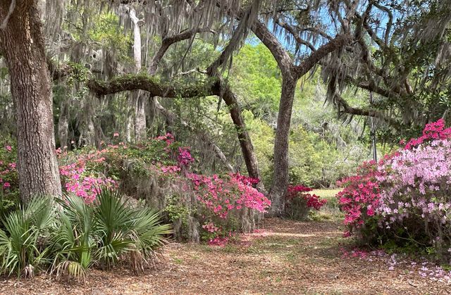 1513 Highway 174, Edisto Island, SC 29438
