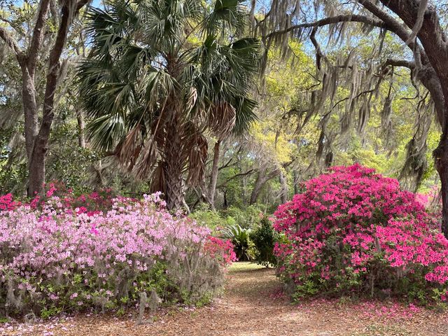 1513 Highway 174, Edisto Island, SC 29438