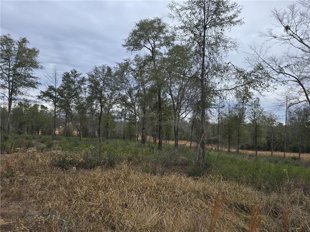 3296 Spartan Drive, Saraland, AL 36571 — photo 2