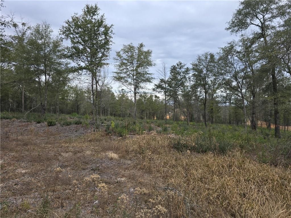 3296 Spartan Drive, Saraland, AL 36571 — photo 4