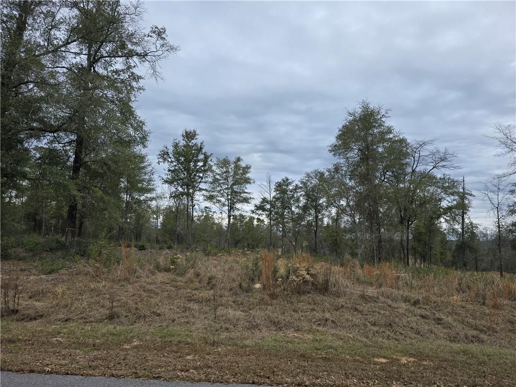 3296 Spartan Drive, Saraland, AL 36571 — photo 5