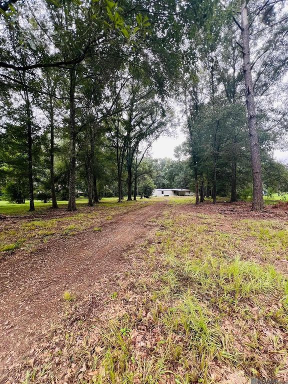 6745 Dobrowoiski Ln, Ethel, LA 70730