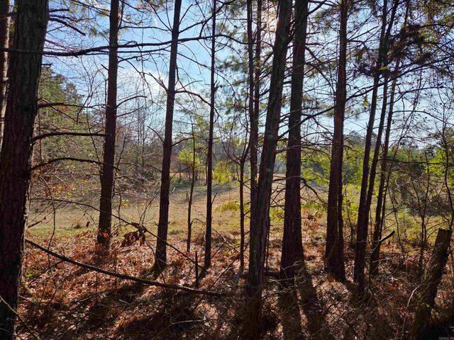 6824 Nevins Road, Pine Bluff, AR 71603