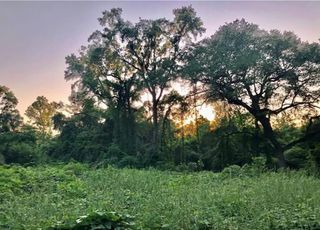 0 Hall Road, Mobile, AL 36618