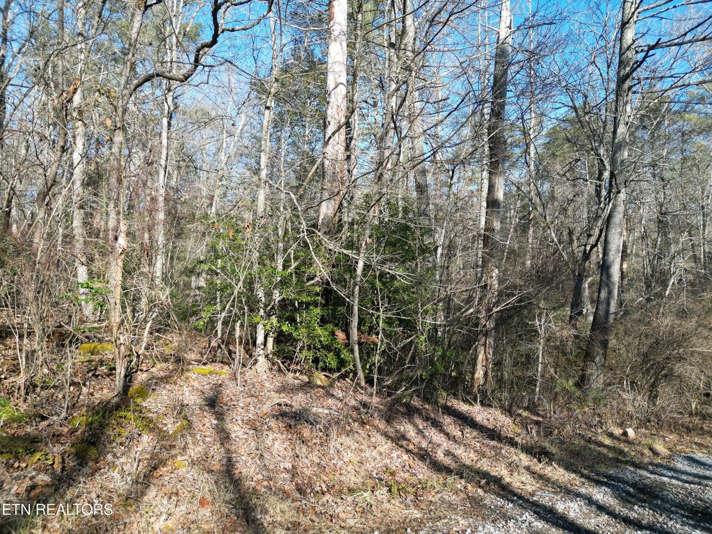 5039 Broken Bow Drive, Crossville, TN 38572
