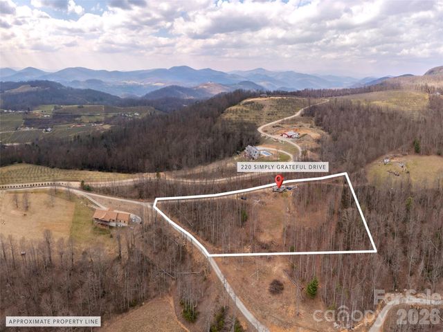 220 Simply Grateful Drive, Hendersonville, NC 28792