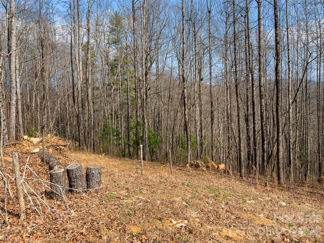220 Simply Grateful Drive, Hendersonville, NC 28792