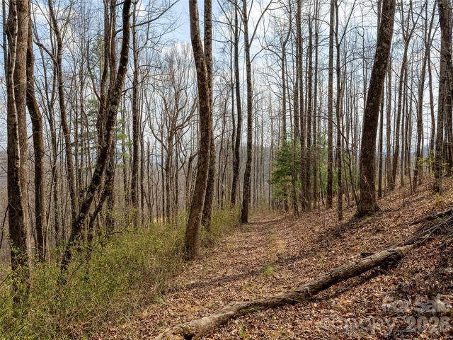 220 Simply Grateful Drive, Hendersonville, NC 28792